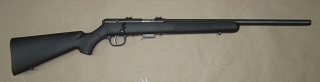 Savage 93R17 FV 17hmr