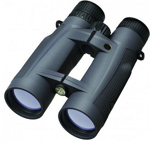 Jumelles Leupold BX-5 Santiam HD 15x56 Shadow Grey