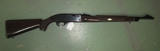 Remington Nylon Model66 22lr