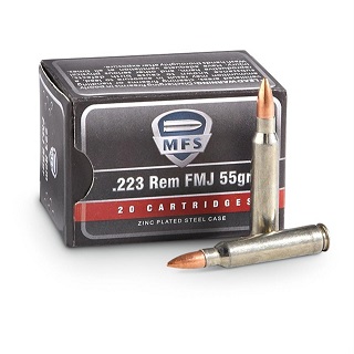 MFS .223 FMJ
