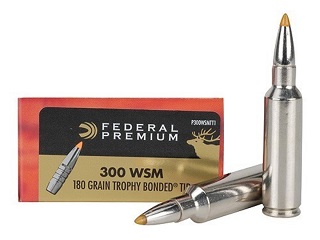 Federal Premium 300 wsm 180gr trophy tip