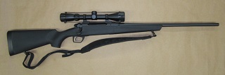 Remington 783 270win