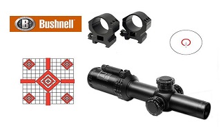 Bushnell AR Tactical 1-4x24mm 