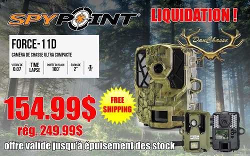 Spypoint Force 11-D