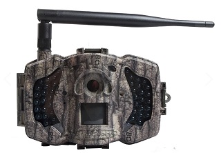 Boly MG983G-36M