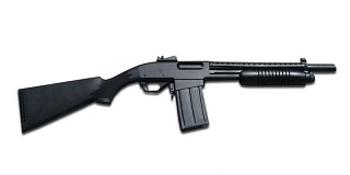 Norinco JY12-2 12ga