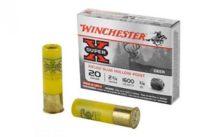 Winchester 2 3/4 20g Slug