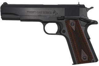 Colt - DanChasse.com