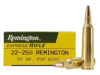 Remington 22-250rem 55gr PSP