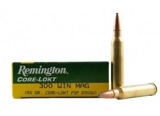Remington 300 win mag 150gr core lokt PSP