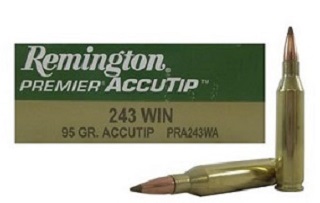Remington 243win Premier Accutip 95gr