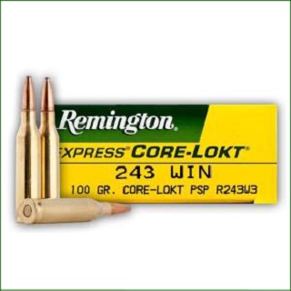 Remington 243win Core-Lokt 100gr